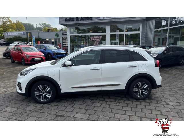 Fahrzeugbild eines Kia Niro