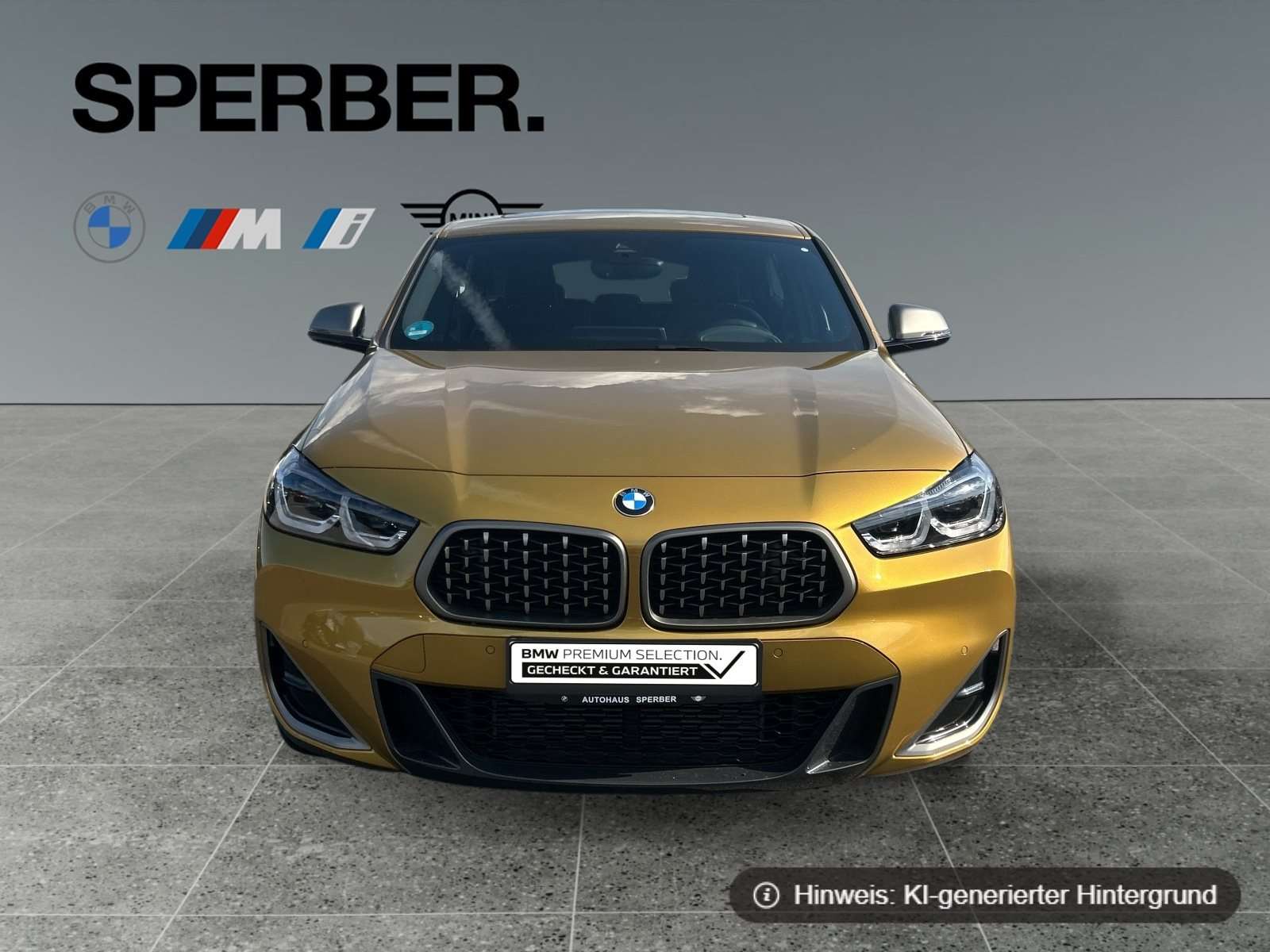 Fahrzeugbild eines BMW X2