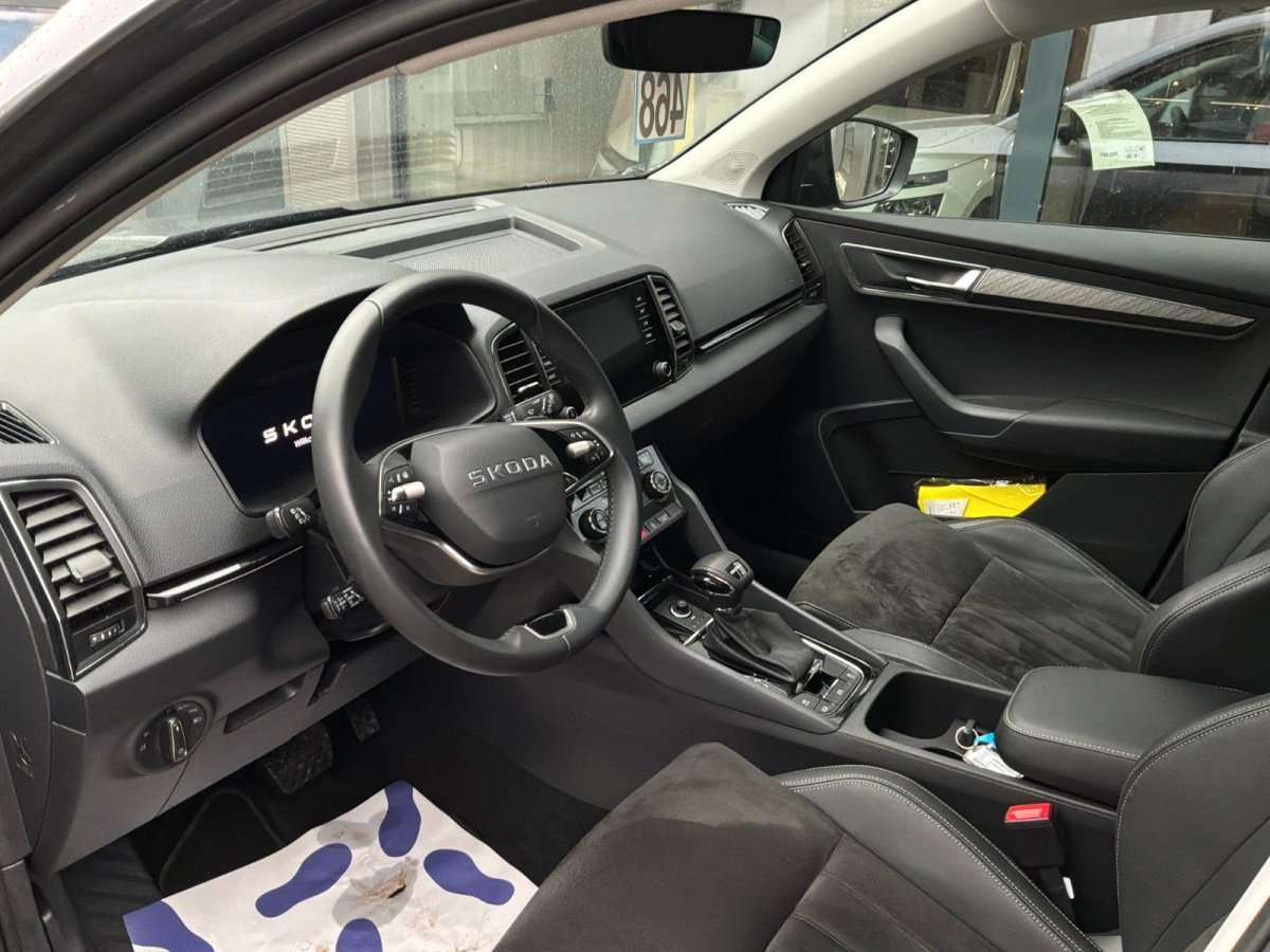Fahrzeugbild eines Skoda Karoq