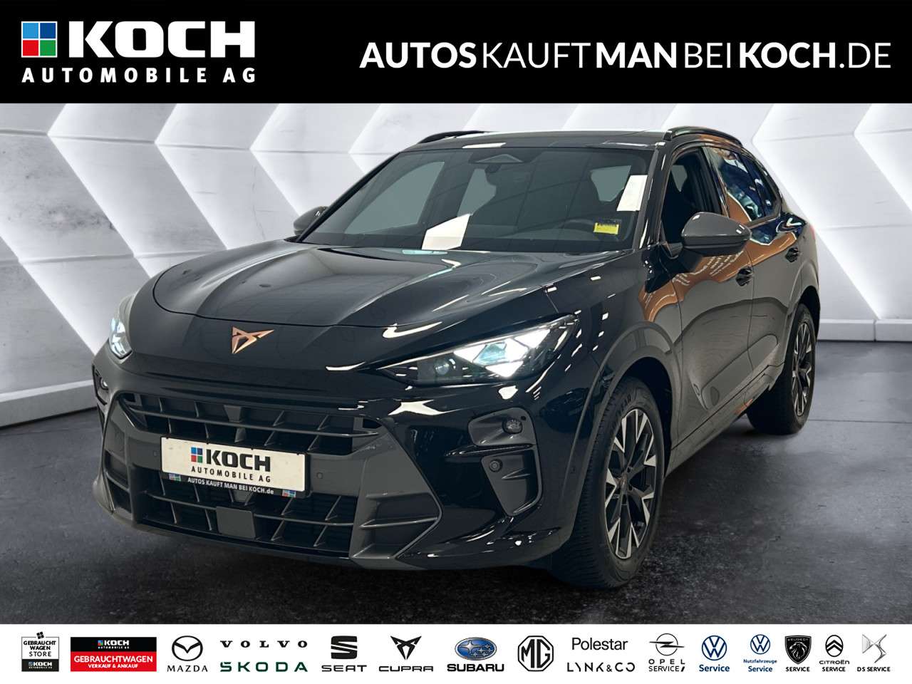 Fahrzeugbild eines CUPRA Terramar