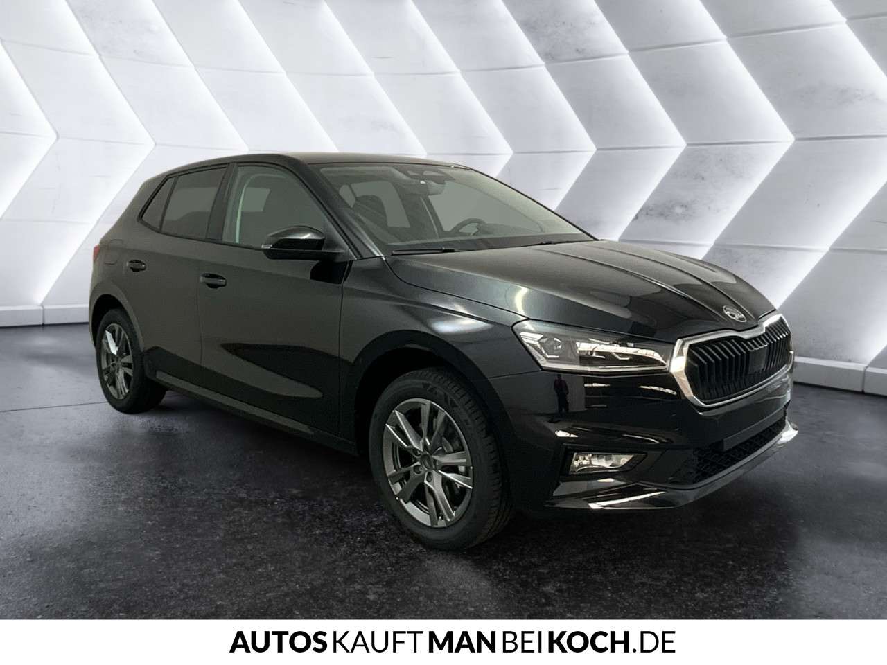 Fahrzeugbild eines Skoda Fabia