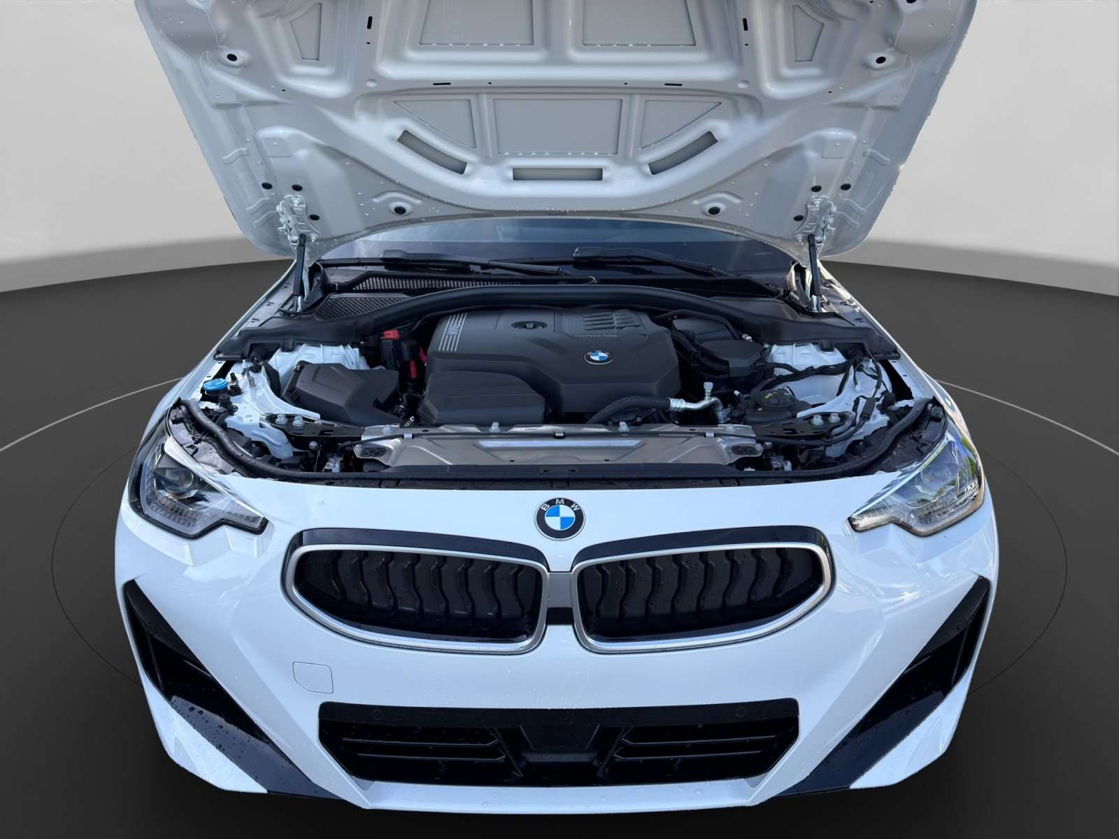 Fahrzeugbild eines BMW 2er-Reihe