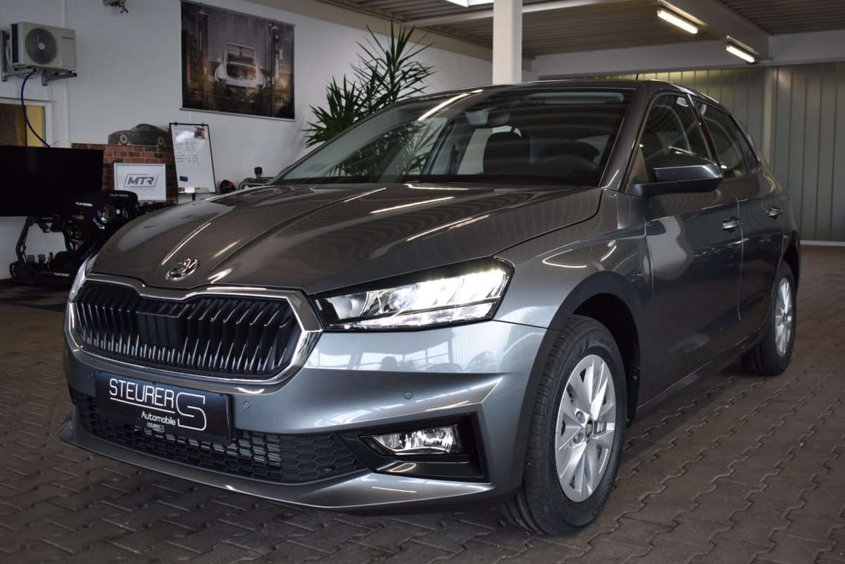 Fahrzeugbild eines Skoda Fabia