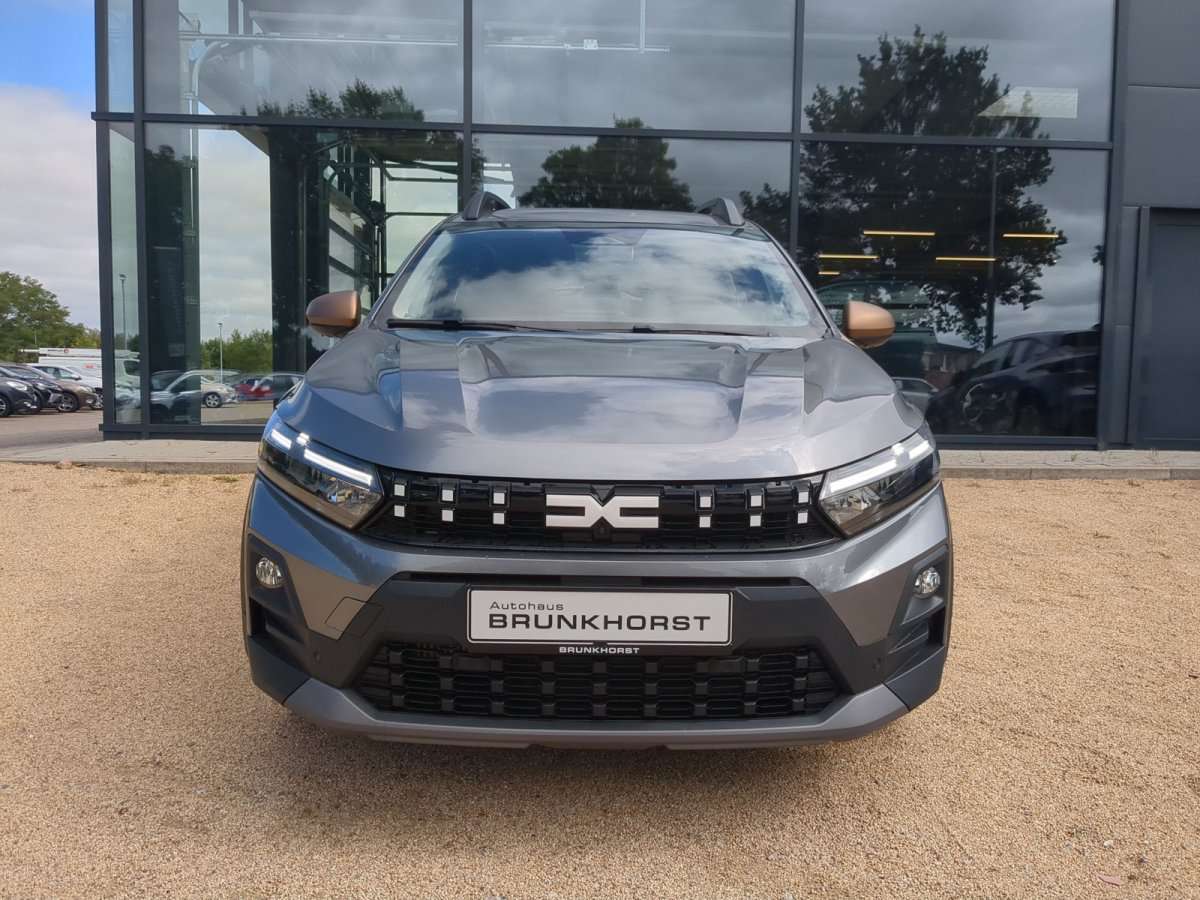 Fahrzeugbild eines Dacia Sandero