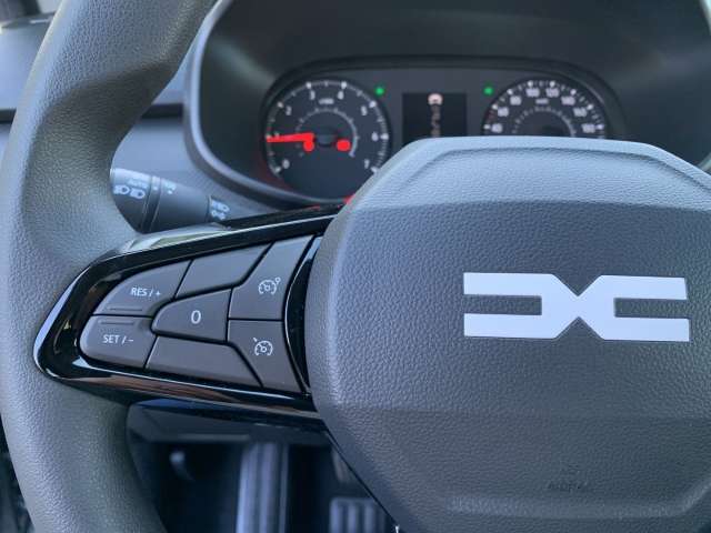 Fahrzeugbild eines Dacia Sandero