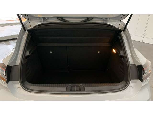 Fahrzeugbild eines Renault Clio