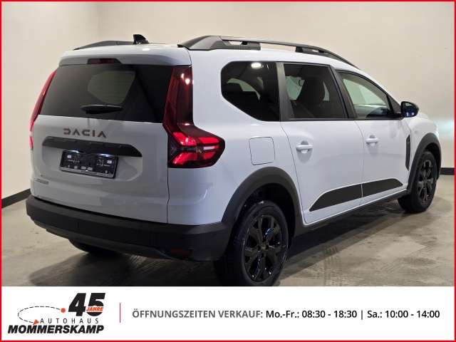 Fahrzeugbild eines Dacia Jogger