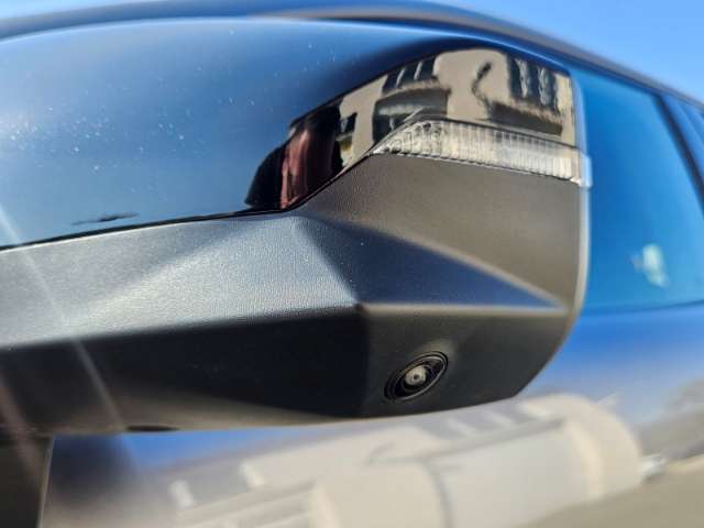 Fahrzeugbild eines Renault Clio