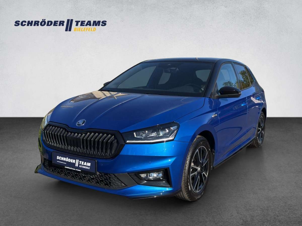 Fahrzeugbild eines Skoda Fabia