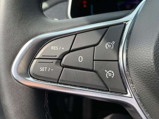 Fahrzeugbild eines Renault ZOE