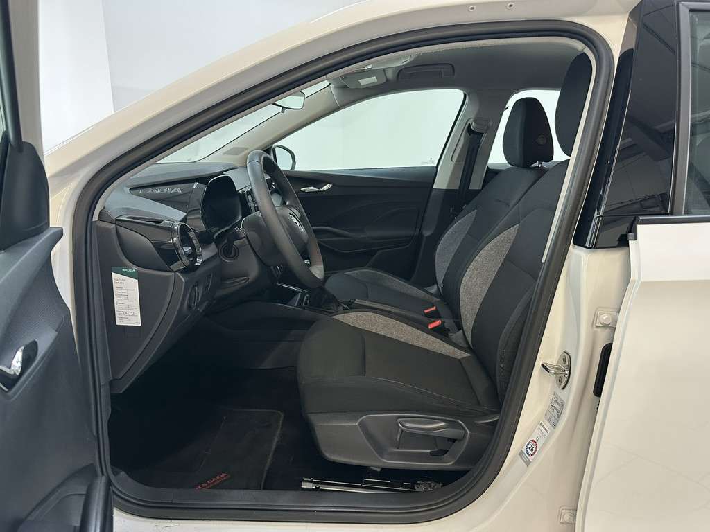 Fahrzeugbild eines Skoda Fabia