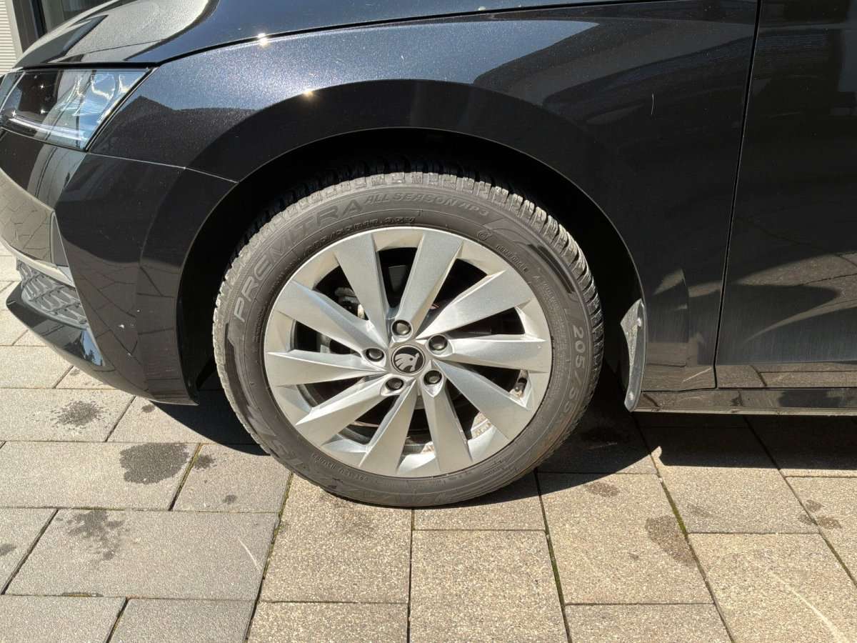 Fahrzeugbild eines Skoda Octavia