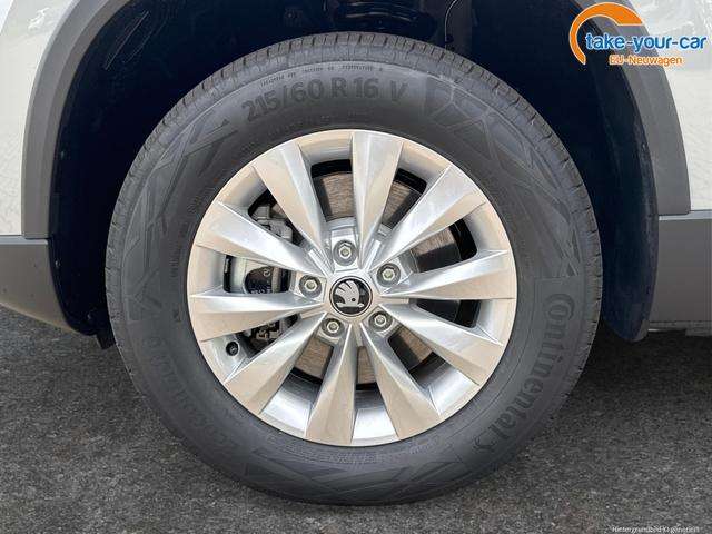 Fahrzeugbild eines Skoda Karoq