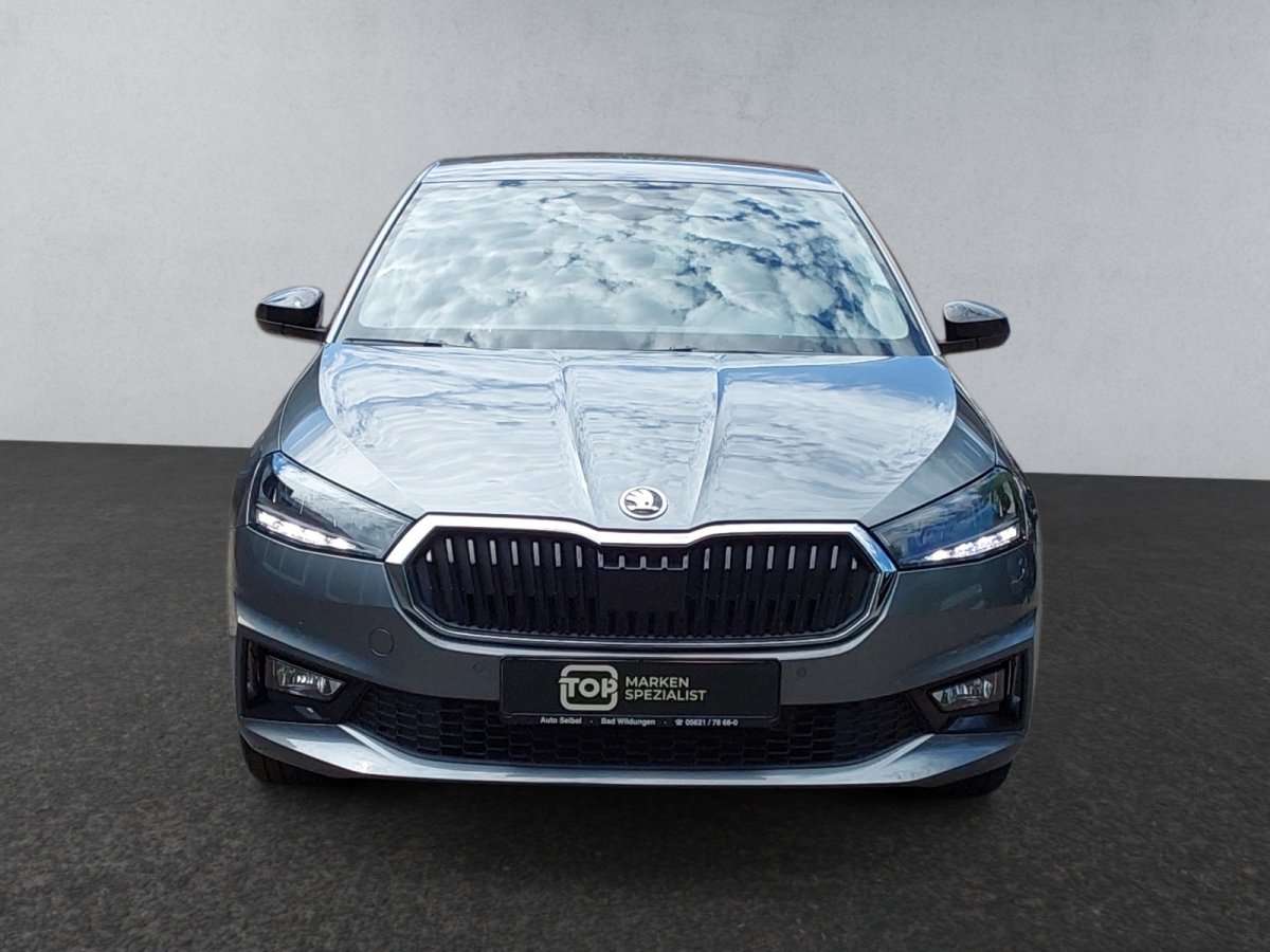 Fahrzeugbild eines Skoda Fabia