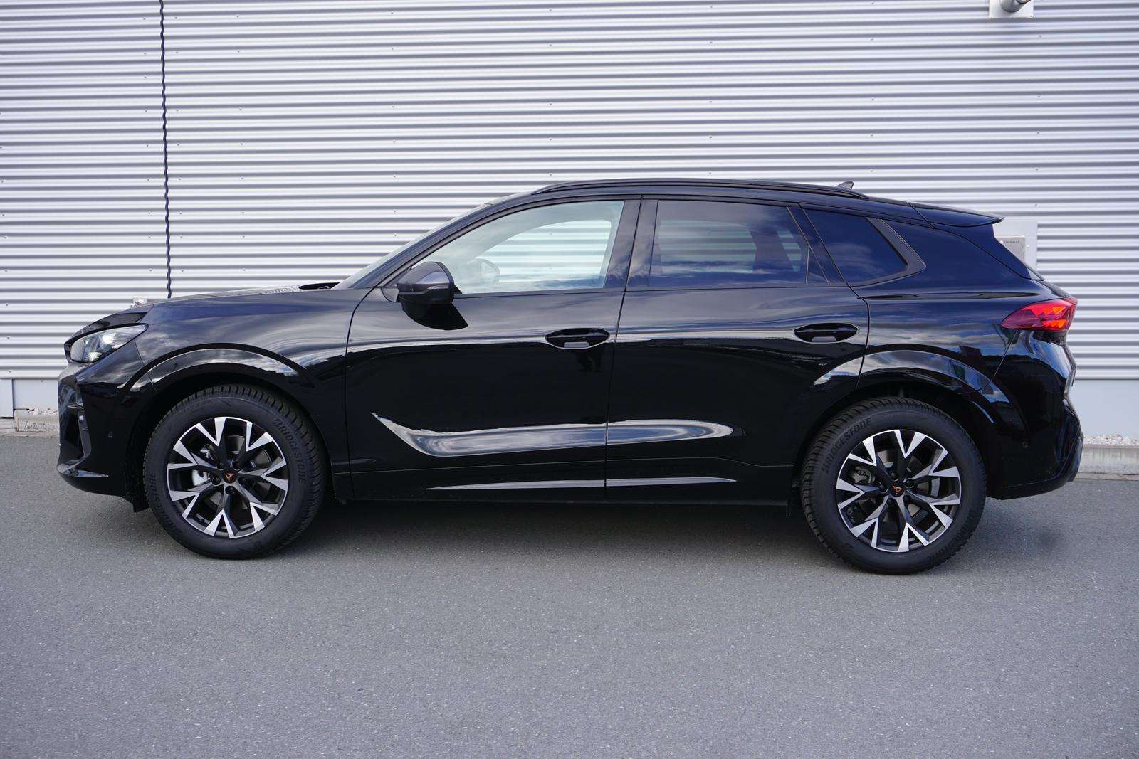 Fahrzeugbild eines CUPRA Terramar