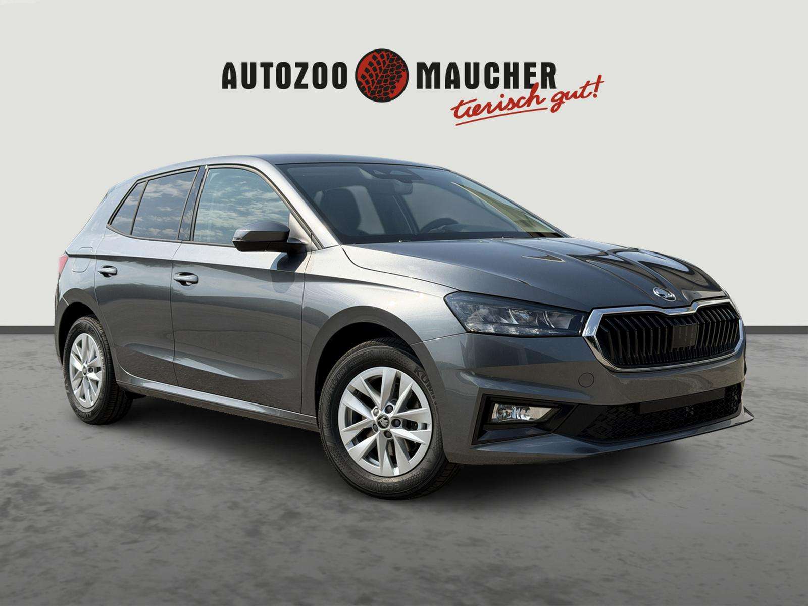 Fahrzeugbild eines Skoda Fabia