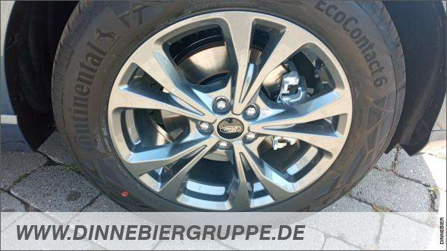 Fahrzeugbild eines Ford Kuga