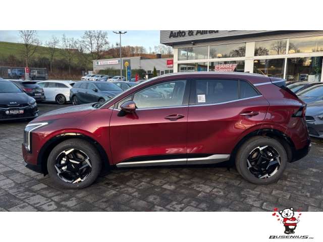 Fahrzeugbild eines Kia Sportage