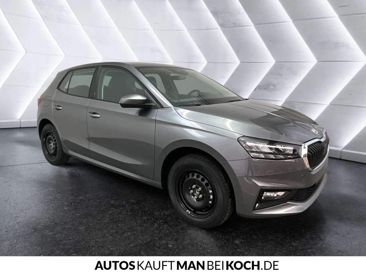 Fahrzeugbild eines Skoda Fabia