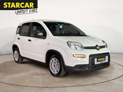 Bild Fiat Panda