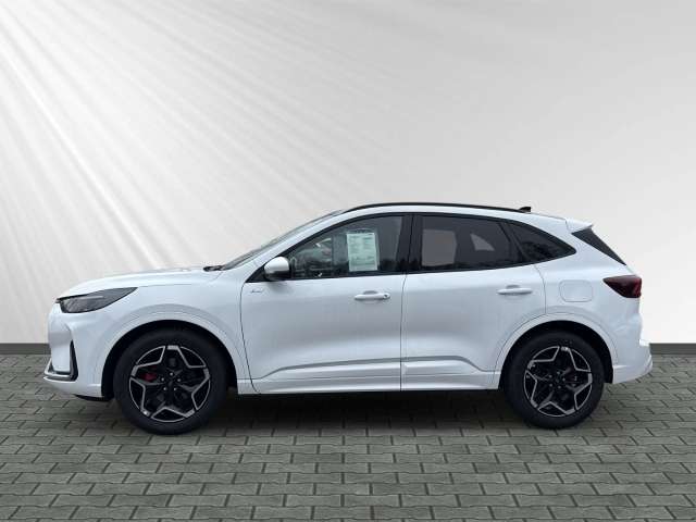 Fahrzeugbild eines Ford Kuga