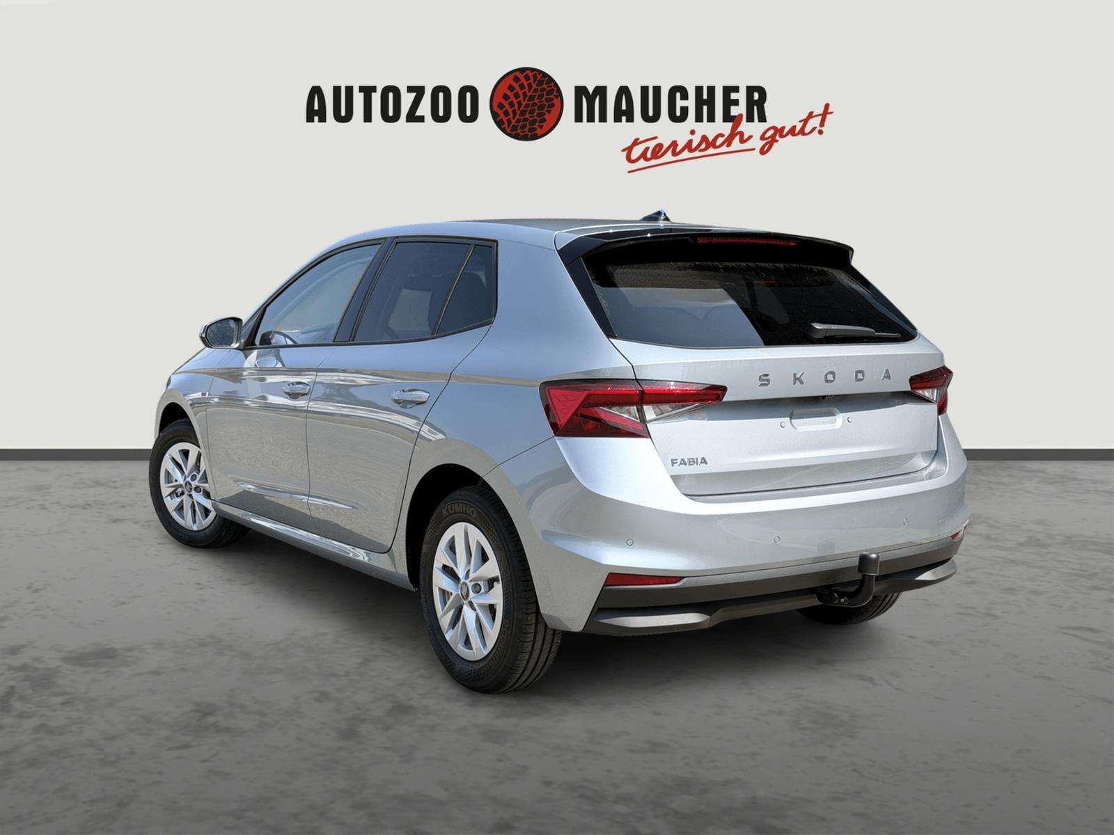 Fahrzeugbild eines Skoda Fabia