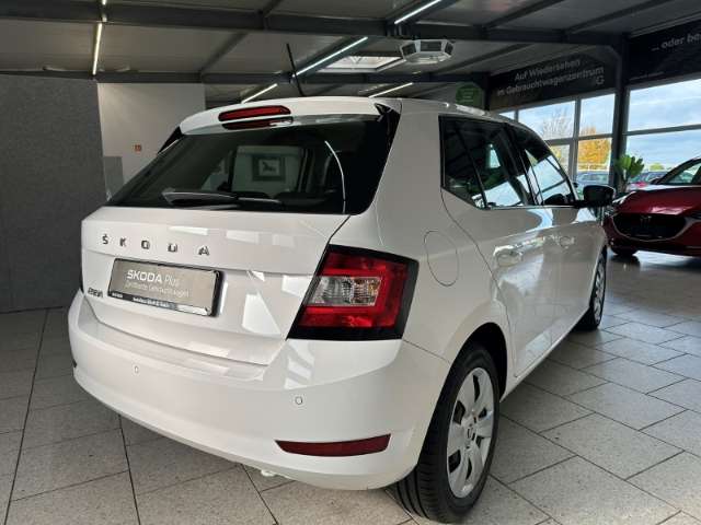 Fahrzeugbild eines Skoda Fabia