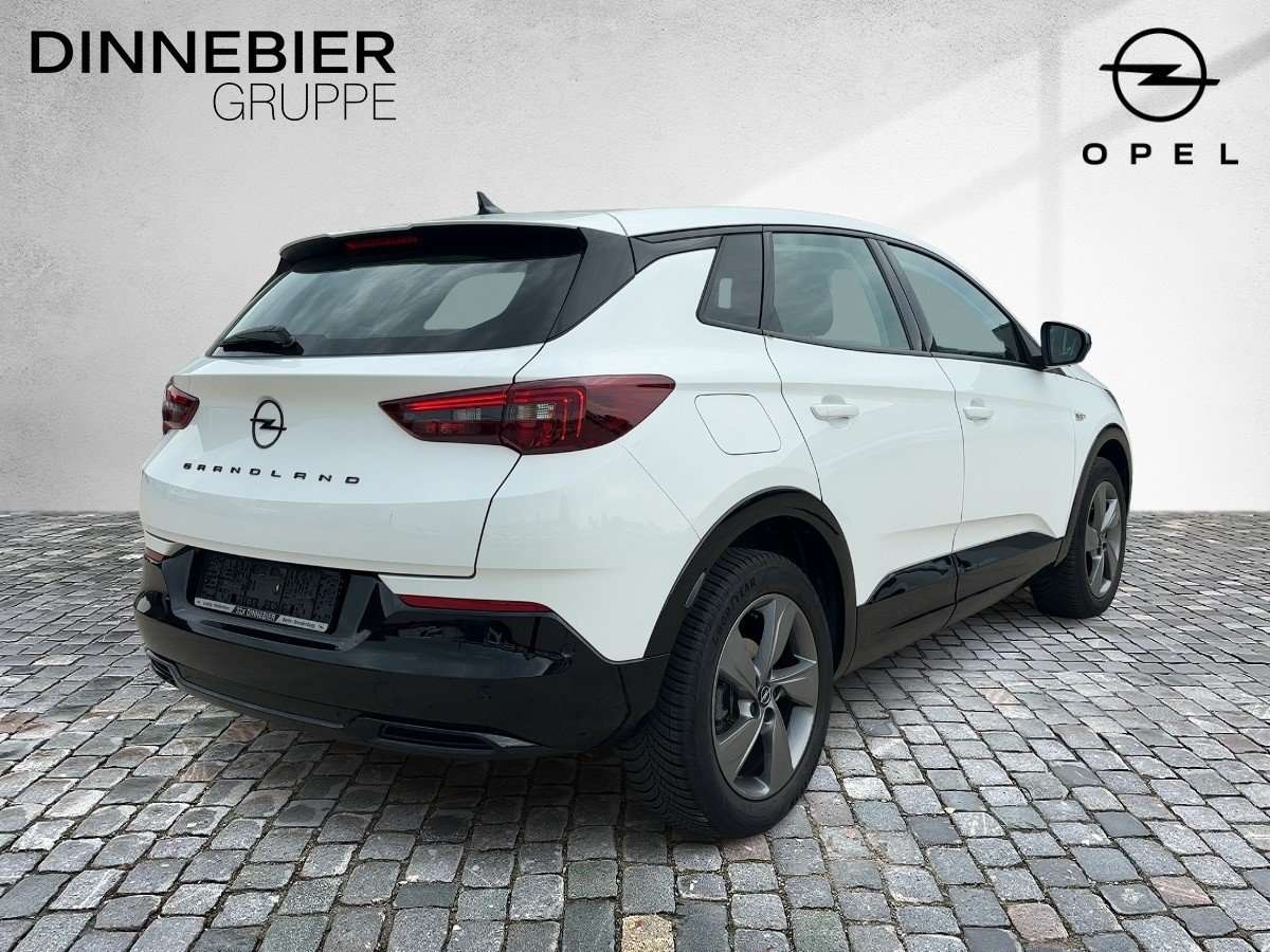 Fahrzeugbild eines Opel Grandland X