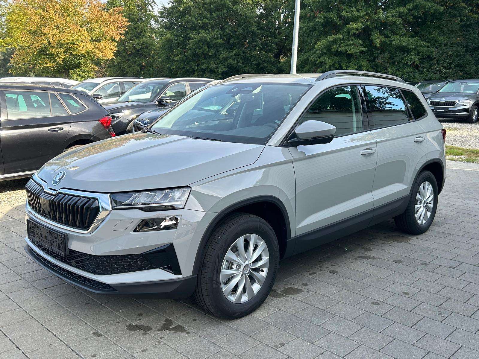 Fahrzeugbild eines Skoda Karoq
