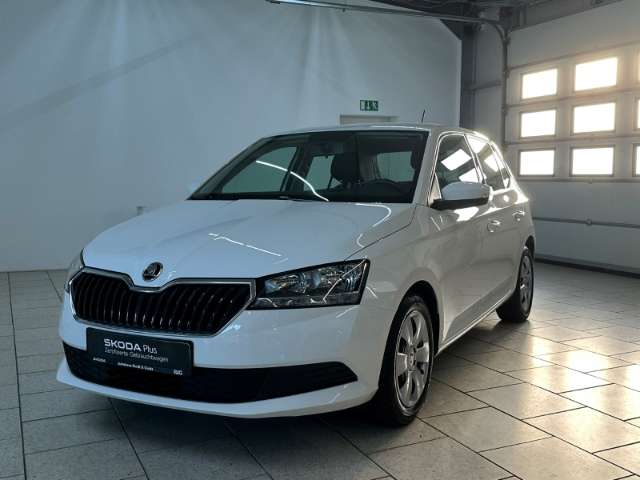 Fahrzeugbild eines Skoda Fabia