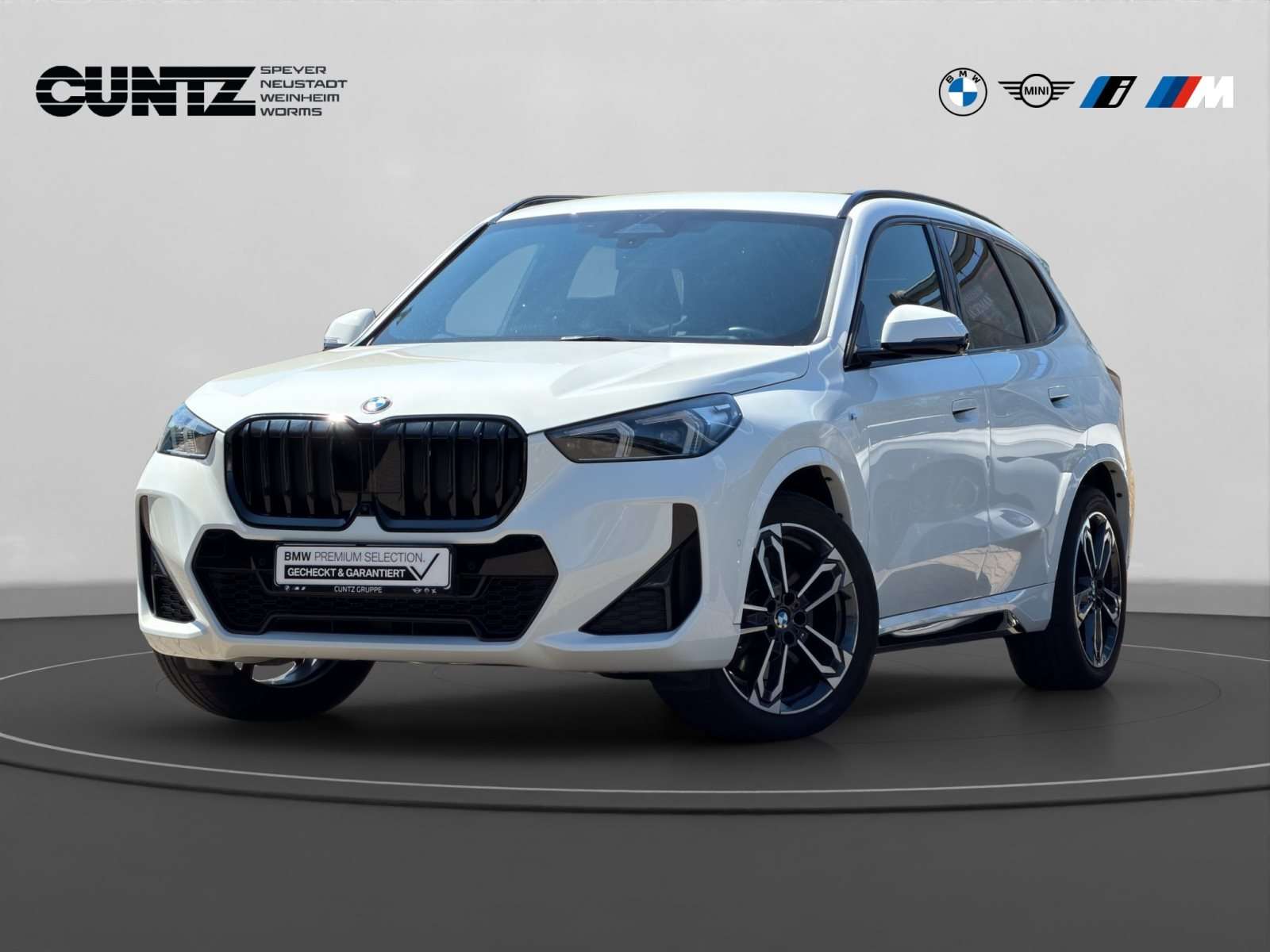 Fahrzeugbild eines BMW X1