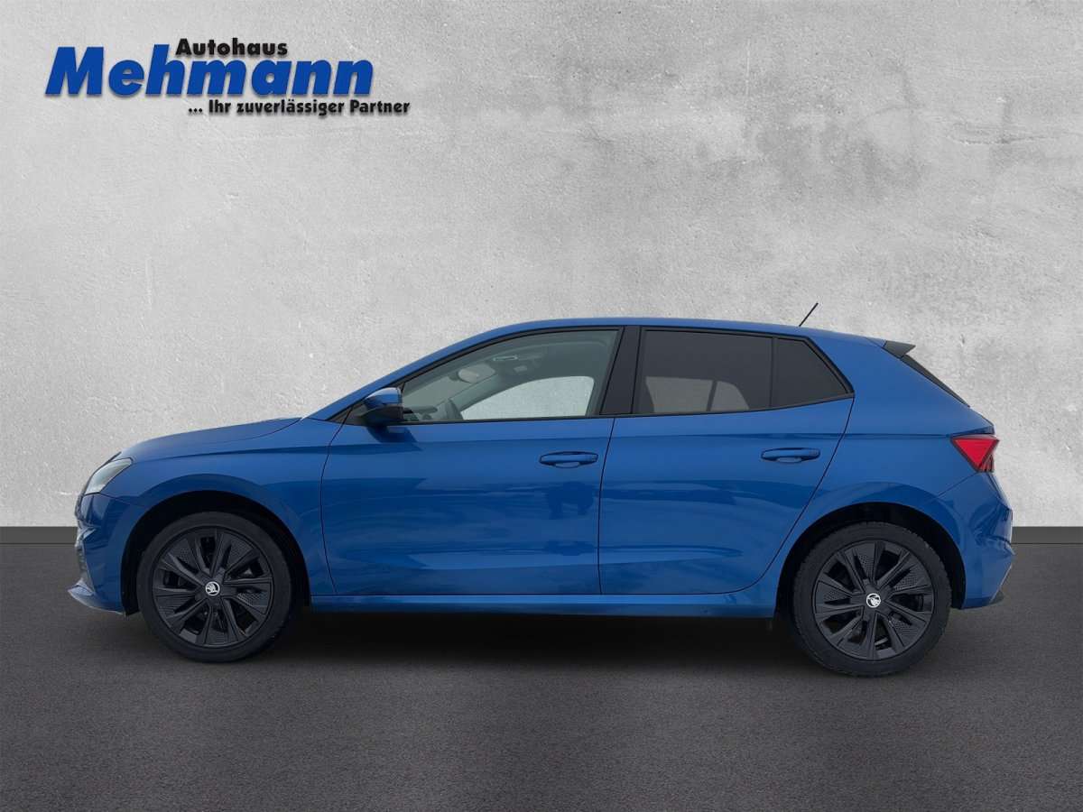 Fahrzeugbild eines Skoda Fabia