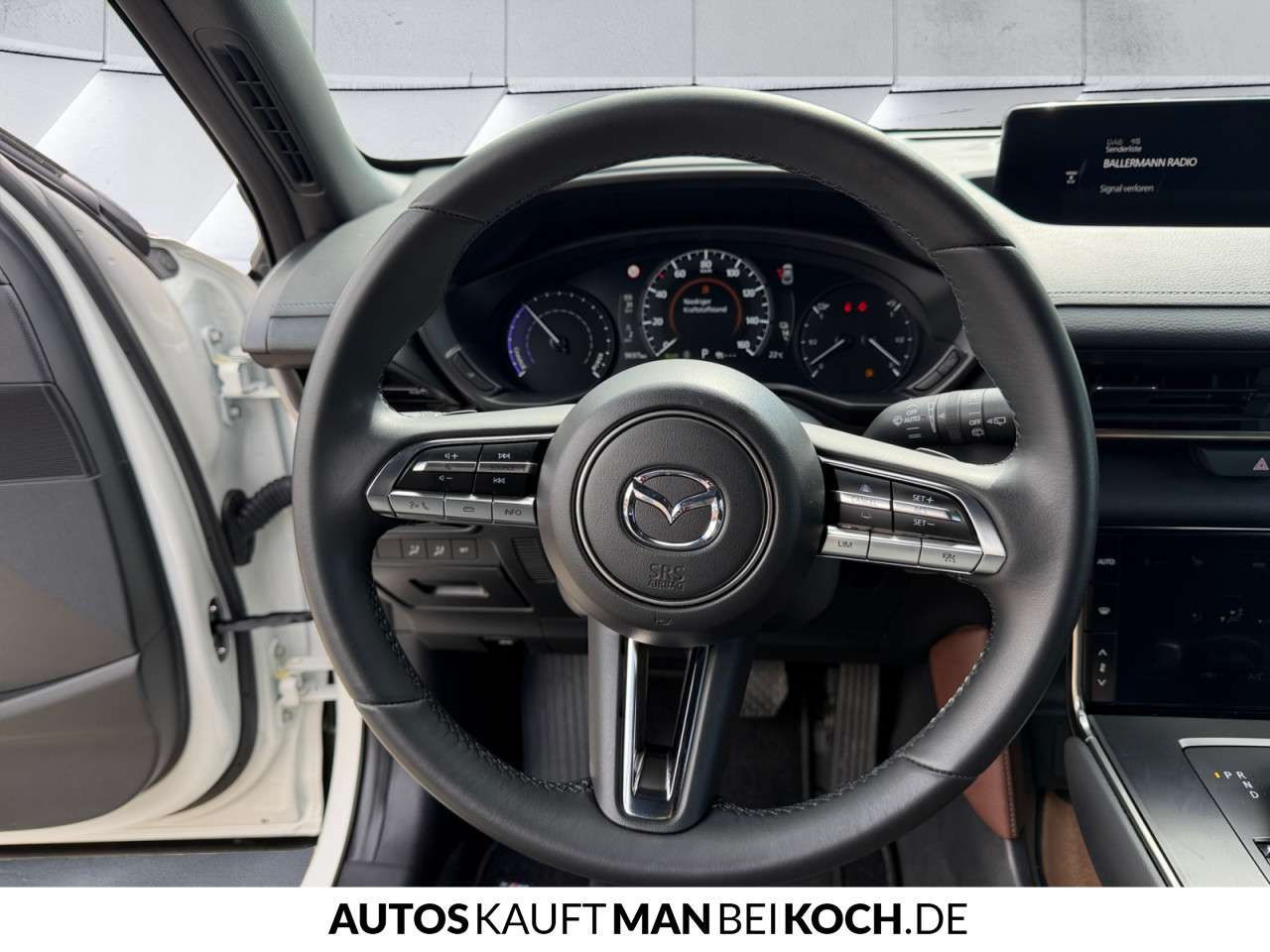 Fahrzeugbild eines Mazda MX-30