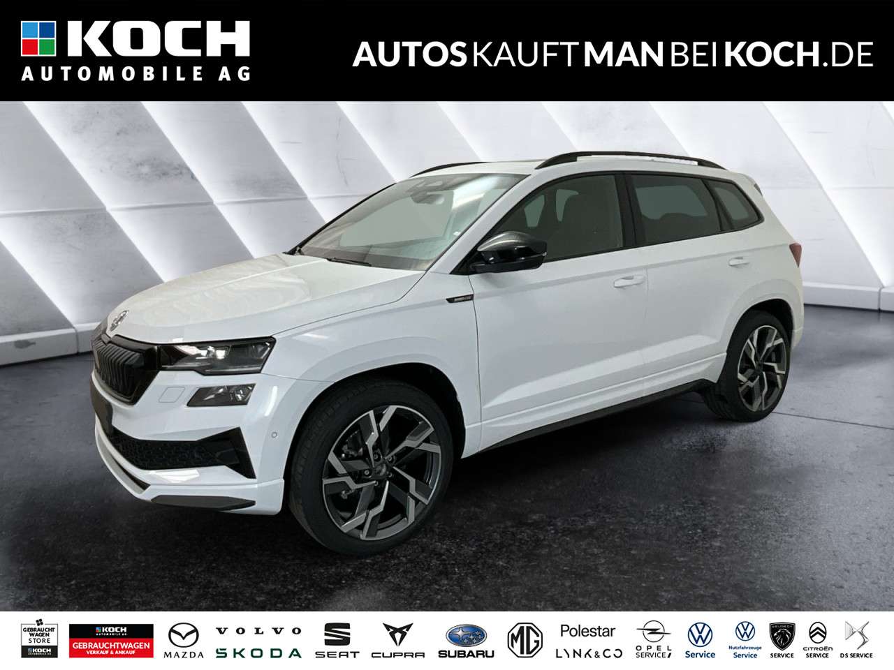 Fahrzeugbild eines Skoda Karoq