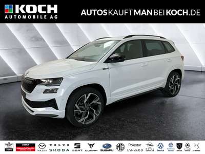 Bild Skoda Karoq