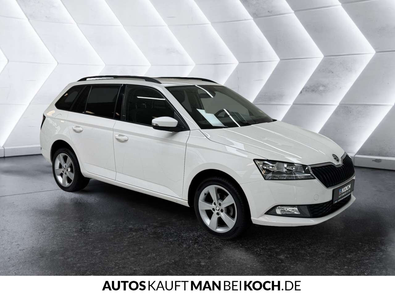Fahrzeugbild eines Skoda Fabia