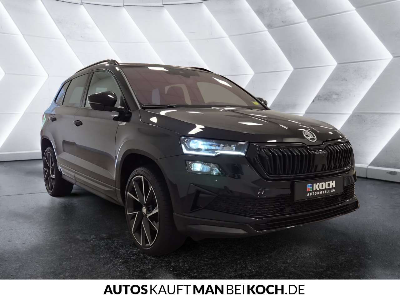 Fahrzeugbild eines Skoda Karoq