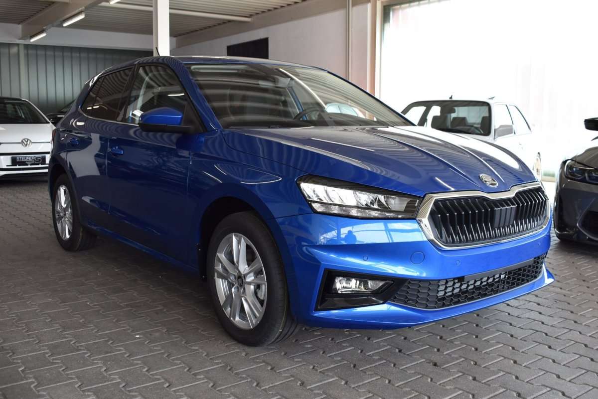 Fahrzeugbild eines Skoda Fabia