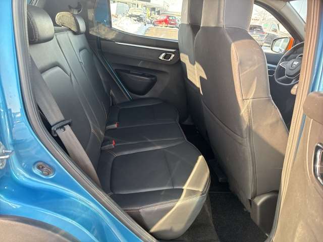 Fahrzeugbild eines Dacia Spring