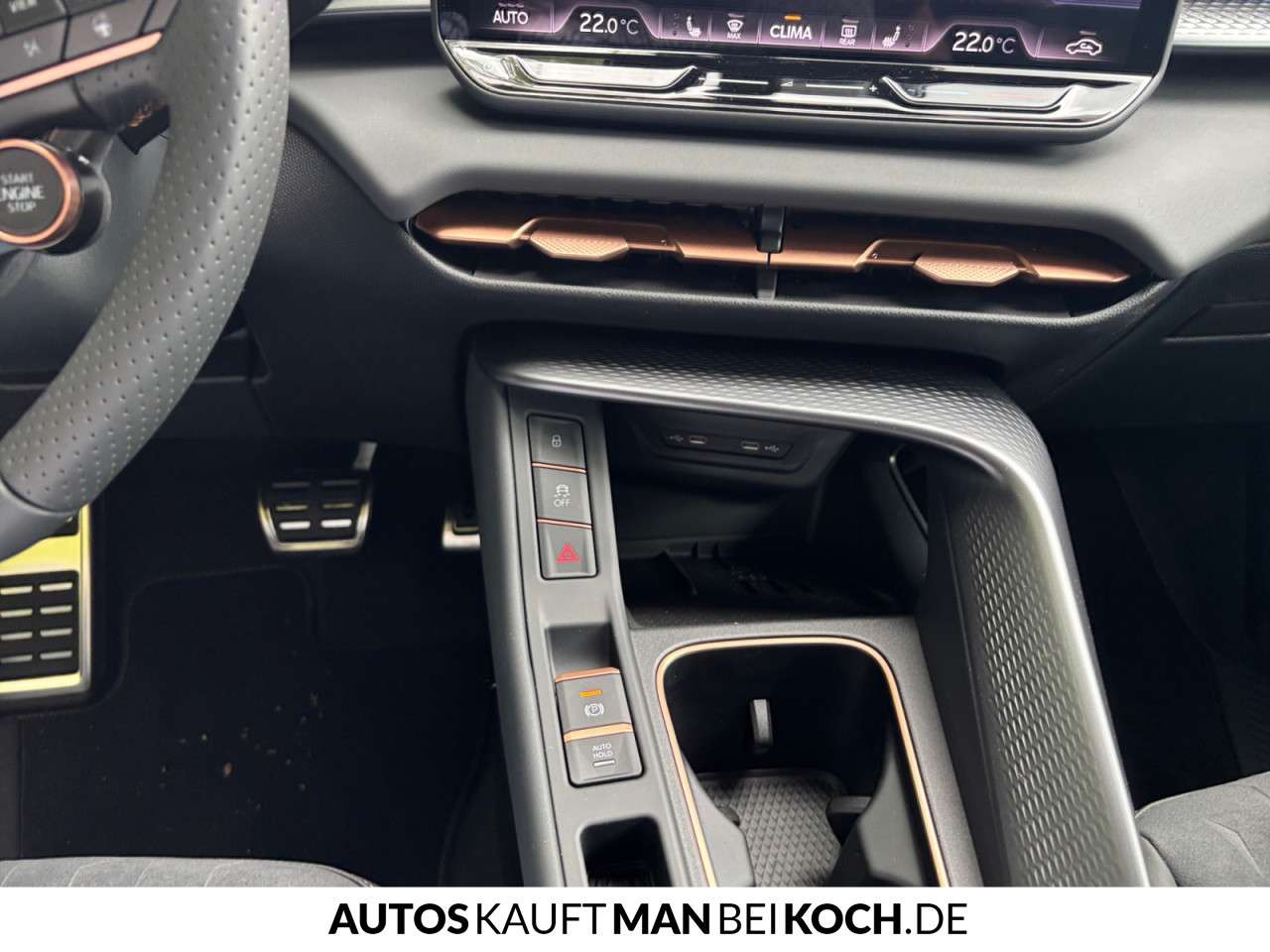 Fahrzeugbild eines CUPRA Terramar