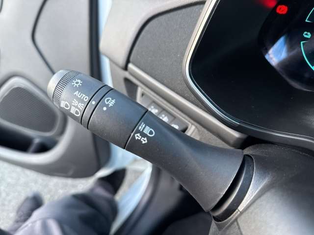 Fahrzeugbild eines Renault ZOE