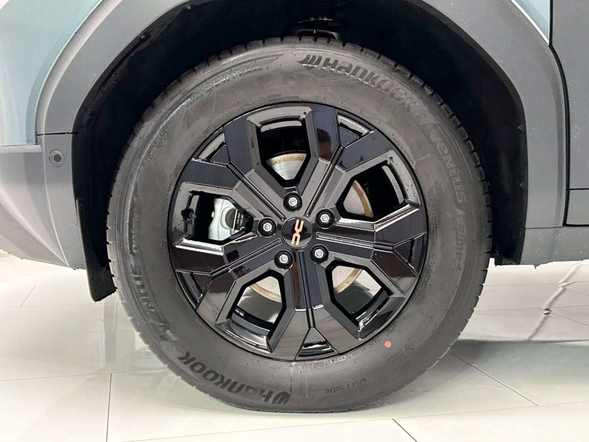 Fahrzeugbild eines Dacia Duster