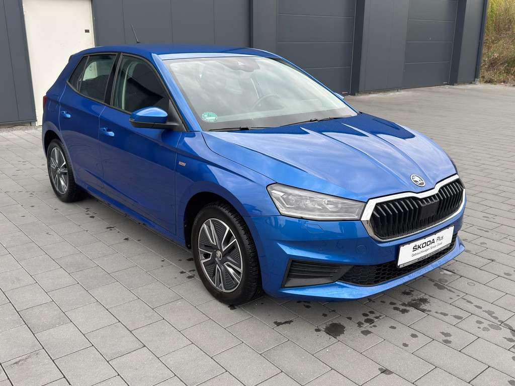 Fahrzeugbild eines Skoda Fabia