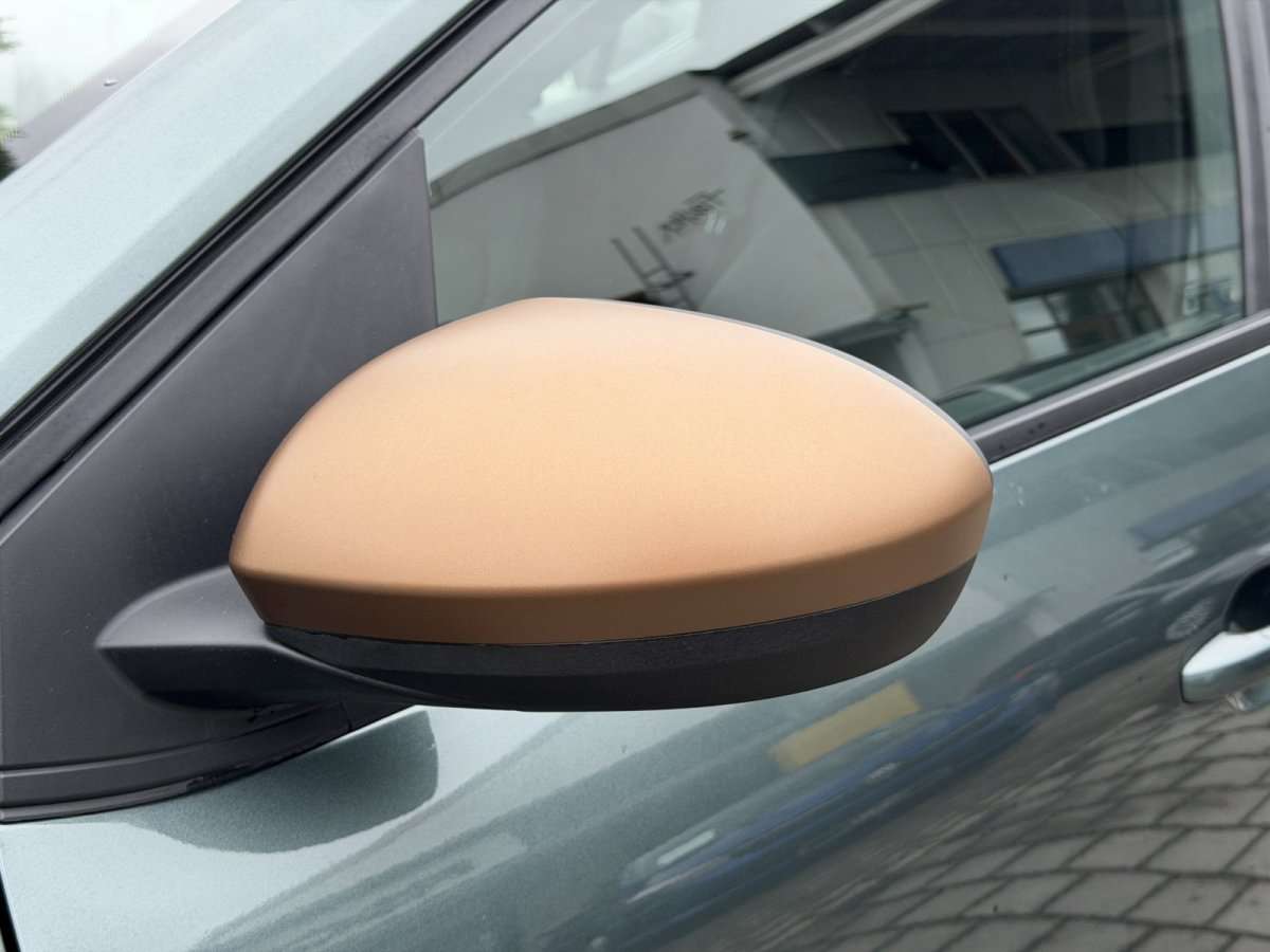 Fahrzeugbild eines Dacia Sandero