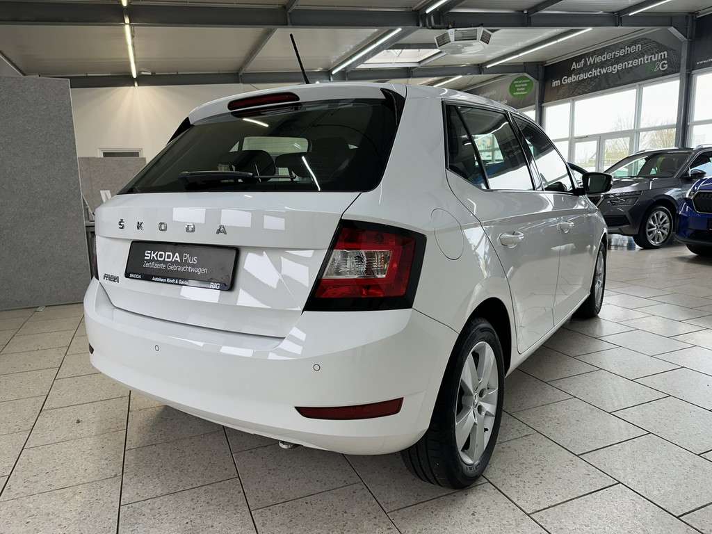Fahrzeugbild eines Skoda Fabia