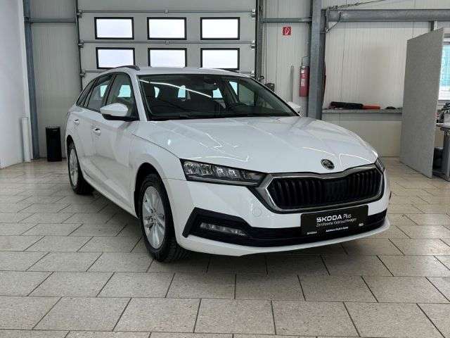 Fahrzeugbild eines Skoda Octavia