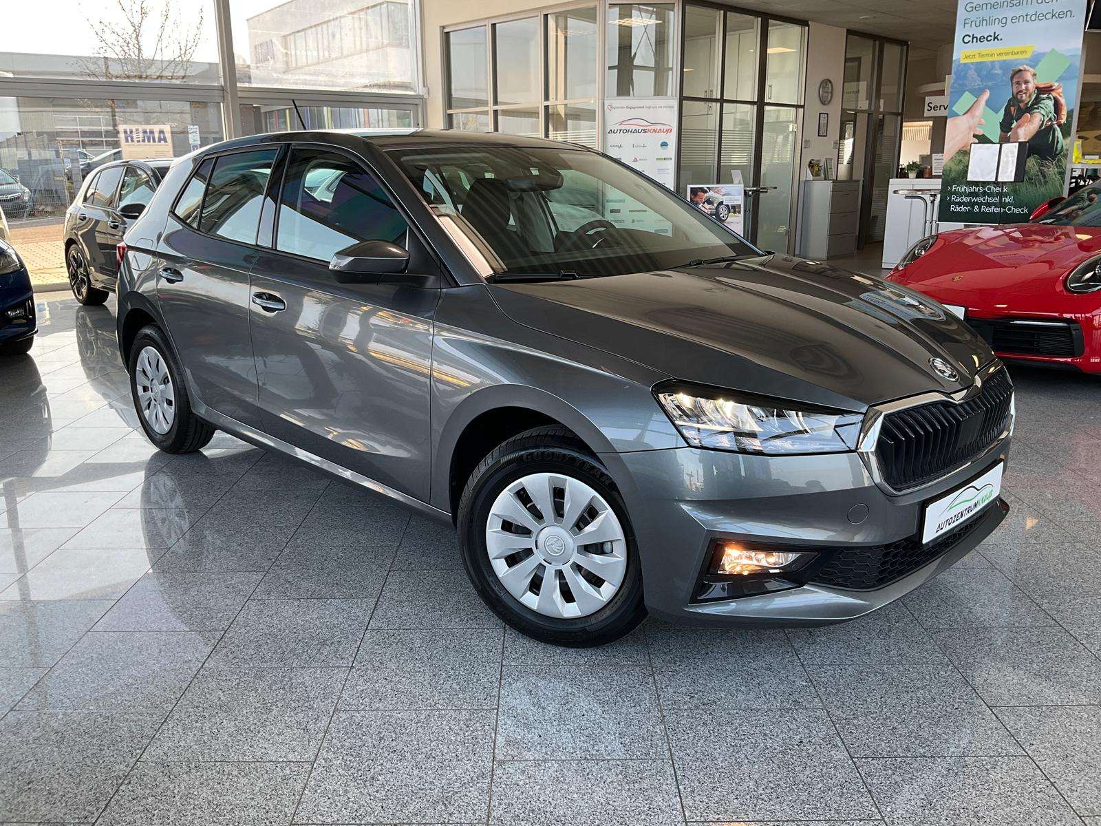 Fahrzeugbild eines Skoda Fabia