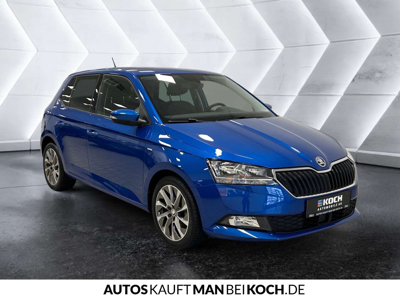 Fahrzeugbild eines Skoda Fabia