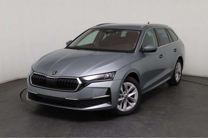 Fahrzeugbild eines Skoda Octavia