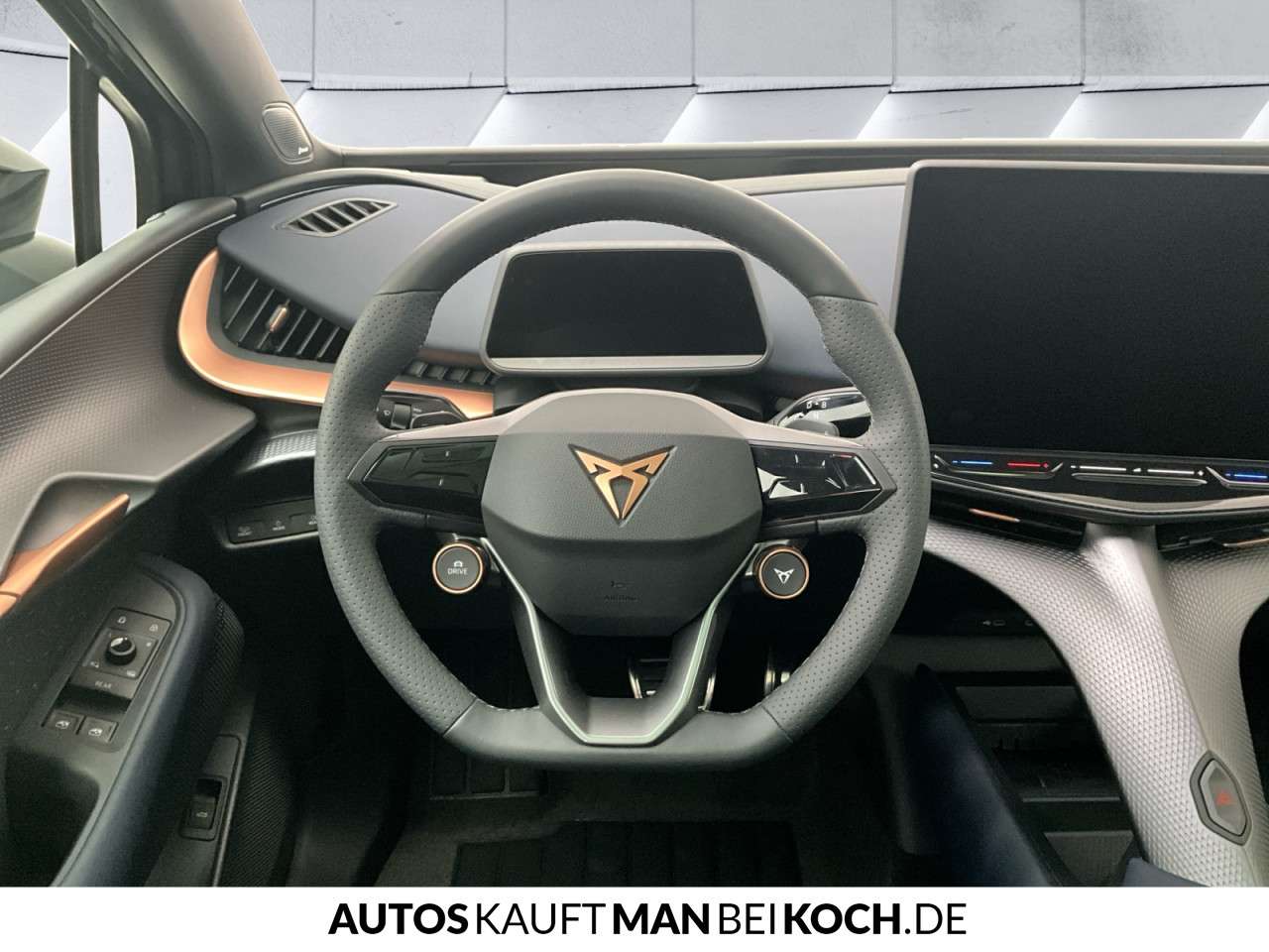 Fahrzeugbild eines CUPRA Tavascan